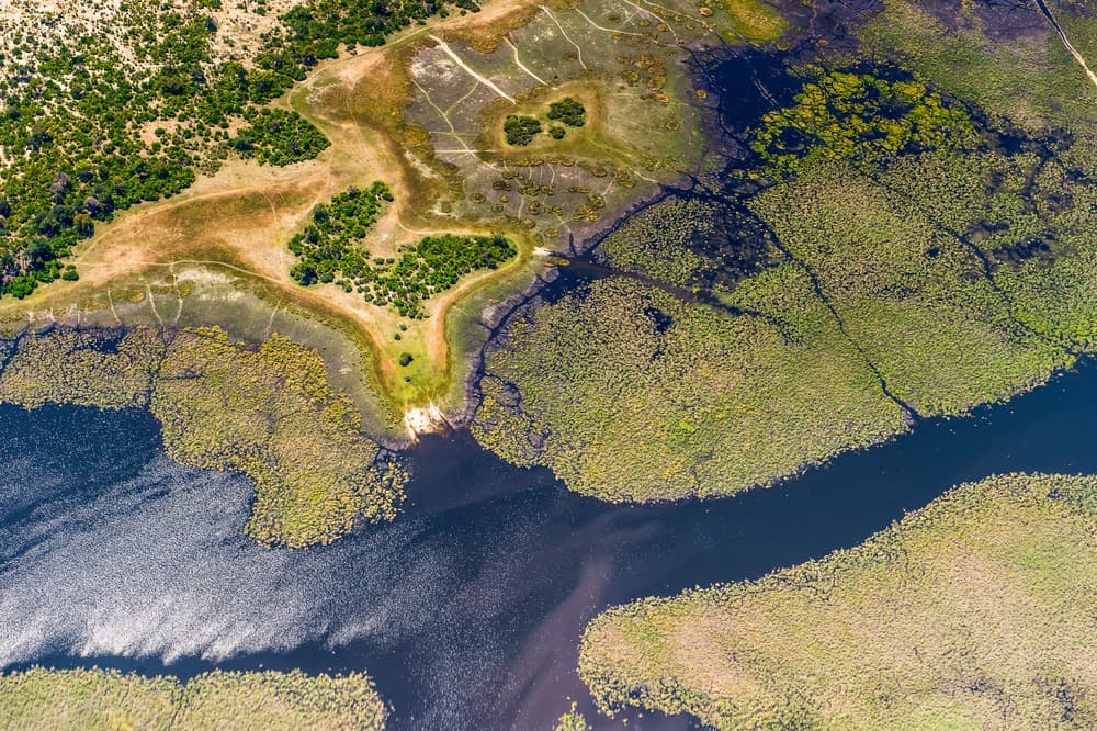 Delta dell'Okavango