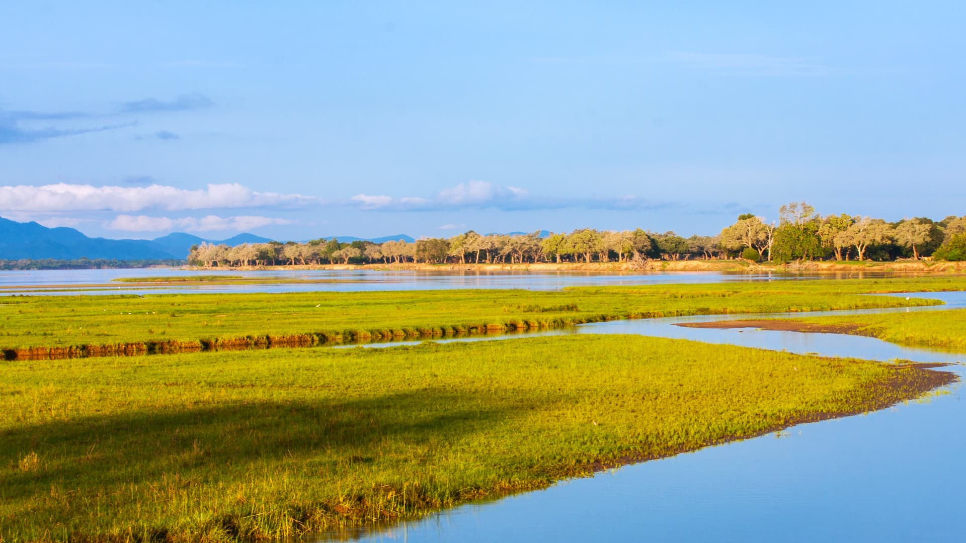 Liuwa Plain e ovest selvaggio